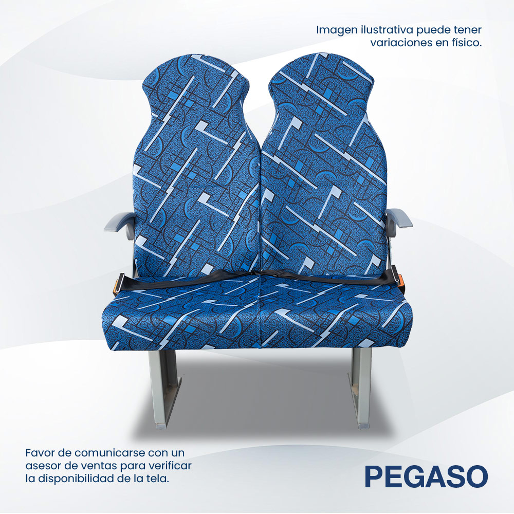 Asiento Pegaso